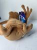 Toys "R" Us Exclusive E.T. The Extra-Terrestrial 20th Anniversary 12" Plush (SA) - 8