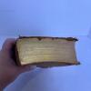 Antique 1913 Copy of "Twentieth Century Musings" by M. Clay Burbridge (PC) - 2