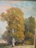 15.5" x 13" Original Landscape Oil Painting in Ornate Gold Frame - 2