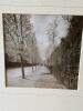 Set of 2 21" x 21" Framed Black & White Photographs - 3