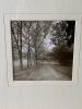 Set of 2 21" x 21" Framed Black & White Photographs - 5