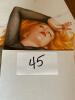 Classic Rock & Pop Vinyl LP Lot - 5