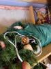 Holiday Decor Lot - 9