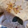 Assorted Kitchen Linens - 2