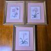 Framed Botanical Framed Prints Set of 3, 13"x11"