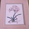 Framed Botanical Framed Prints Set of 3, 13"x11" - 3