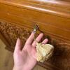 Ornate Hand-Carved Wood Storage Cabinet with Glass Top & Key, made in Morocco - 6