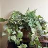 Three Artificial Ivy & Floral Arrangements in Wicker Baskets and Hogley Brass Planter - 5