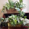 Three Artificial Ivy & Floral Arrangements in Wicker Baskets and Hogley Brass Planter - 10