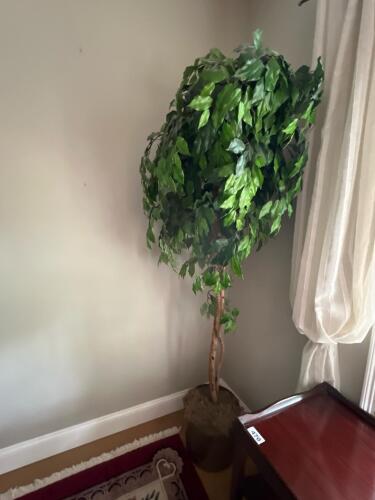 6' Artificial Ficus Tree in Brass Decorative Planter
