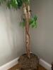 6' Artificial Ficus Tree in Brass Decorative Planter - 3