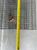 Havahart Live Animal Trap - 3