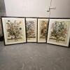 Set of 4 Framed Robert Furber 'Four Seasons' Botanical Prints, 31" x 23"