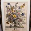 Set of 4 Framed Robert Furber 'Four Seasons' Botanical Prints, 31" x 23" - 2