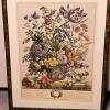 Set of 4 Framed Robert Furber 'Four Seasons' Botanical Prints, 31" x 23" - 4