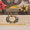 Set of 4 Framed Robert Furber 'Four Seasons' Botanical Prints, 31" x 23" - 5