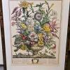 Set of 4 Framed Robert Furber 'Four Seasons' Botanical Prints, 31" x 23" - 6