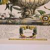 Set of 4 Framed Robert Furber 'Four Seasons' Botanical Prints, 31" x 23" - 7