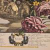 Set of 4 Framed Robert Furber 'Four Seasons' Botanical Prints, 31" x 23" - 9