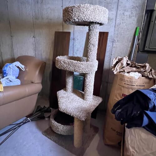 3-Level Carpeted Cat Tree with Sisal Post