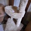 3-Level Carpeted Cat Tree with Sisal Post - 3