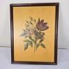 Framed P. Oudart 1829 Botanical, Lith. de Engelmann, 18"x14"