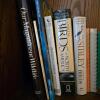Bird Songs Book Lot - 4