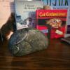 Cat Book & Decor Bundle - 3