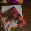 Cat Book & Decor Bundle - 4