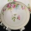Antique Royal Rudolstadt Prussia Hand-Painted Porcelain Plates by E. Beyer, Floral Design, Gold Trim - 2