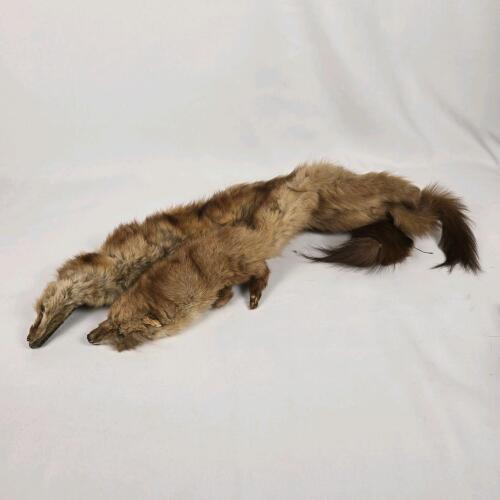 Vintage MinkFur Stoles, Full Pelt with Head & Tail, Natural Brown, 25.5 Inch, Pair
