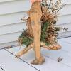 Rustic Driftwood Birdhouse, Basket with Real Nest, Birds Plaque, Framed Art 4pc Decor Set - 5