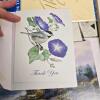 Assorted Boxed Notecards & Stationery - 4