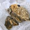 Assorted Bird Christmas Ornament Lot &ndash; Natural Bark Owl, Cardinals, Nest - 7