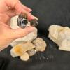 Mineral & Quartz Specimen Lot, Smoky Quartz - 4