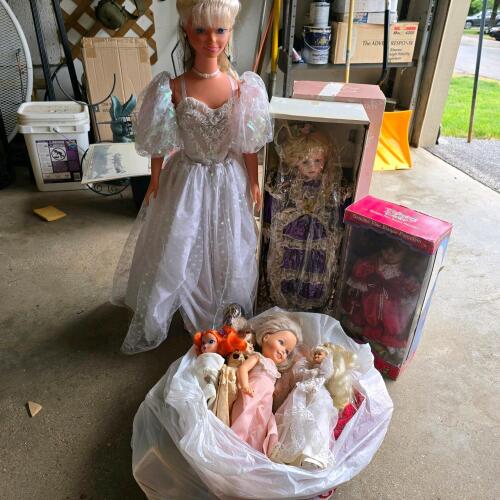Mixed Doll Lot