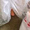 Mixed Doll Lot - 4