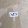 Professional Graphics 816ME 22x34" - 5