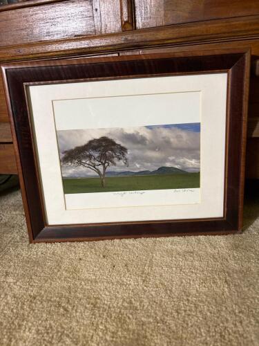 15"x12" Signed "Serengeti Landscape" Framed Photograph by Ross Warner