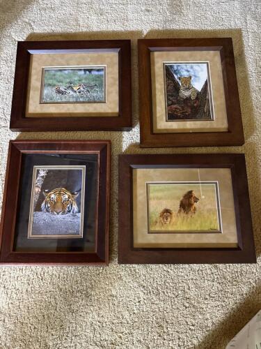 Set of 4- Framed Wildlife Prints by 'Waldock'