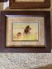 Set of 4- Framed Wildlife Prints by 'Waldock' - 8