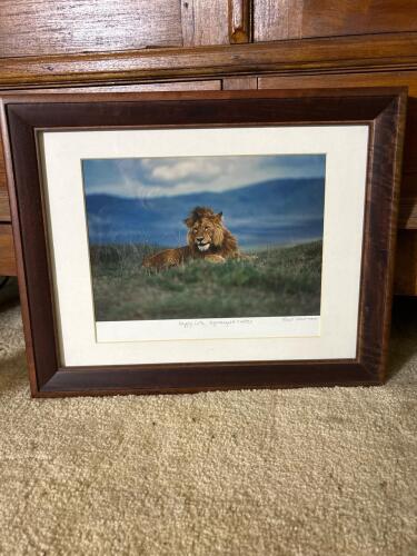 15"x12" Ross Warner Signed Framed Photo &lsquo;Happy Lion
