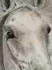 22"x30" Original Horse Portrait Charcoal Drawing by E.A. Muller - 2