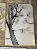 Four Hand-Drawn Ink and Mixed Media Tree Illustrations on Paper - 4
