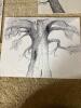 Four Hand-Drawn Ink and Mixed Media Tree Illustrations on Paper - 5