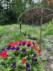Shepherd's Hook Garden Plant Hanger - 2