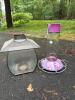 Purple & Pink Glass Hummingbird Feeder and Lantern