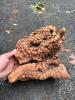 Natural Maple or Oak Burl Wood Pieces - 4