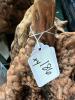 Natural Maple or Oak Burl Wood Pieces - 6