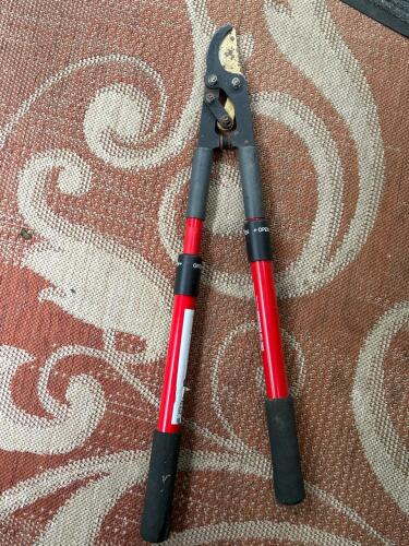 Corona Compound Action Titanium Bypass Lopper